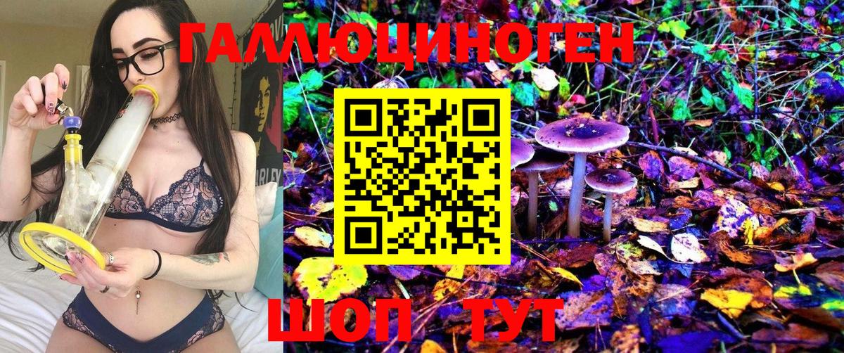 Галлюциногенные грибы Psilocybe  Вход с VPN  Краснознаменск 