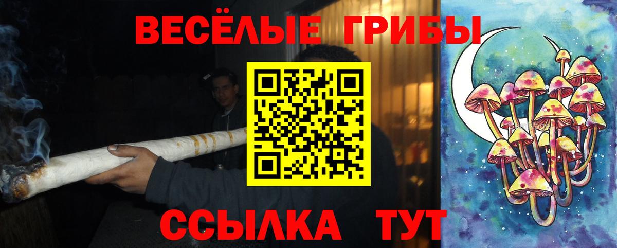 Псилоцибиновые грибы GOLDEN TEACHER Краснознаменск